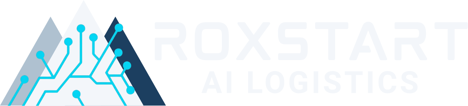 RoxStart AI Logistics